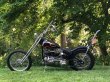 画像2: ハーレーダビッドソン　パンヘッド　リジット　チョッパー　 panhead (2)